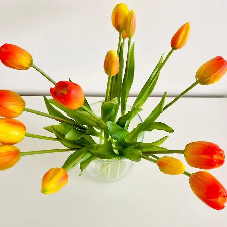 Casa Gioberti Vakantiehuis