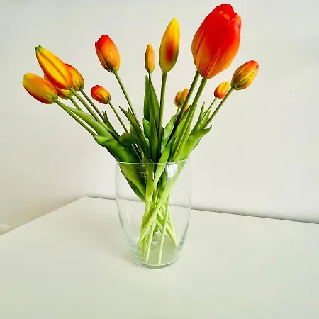 Casa Gioberti Feriehus Castellana Grotte