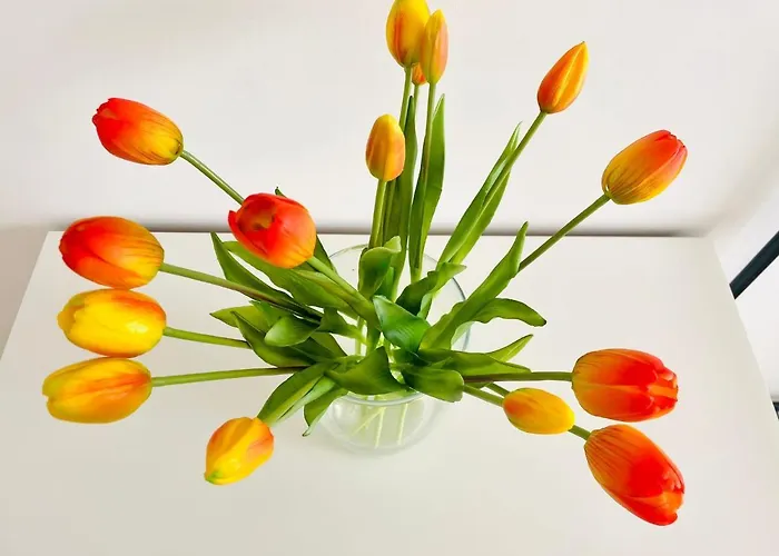 Casa Gioberti Casa vacanze