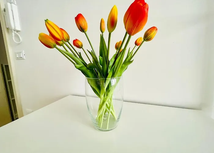 Casa Gioberti Casa vacanze Castellana Grotte